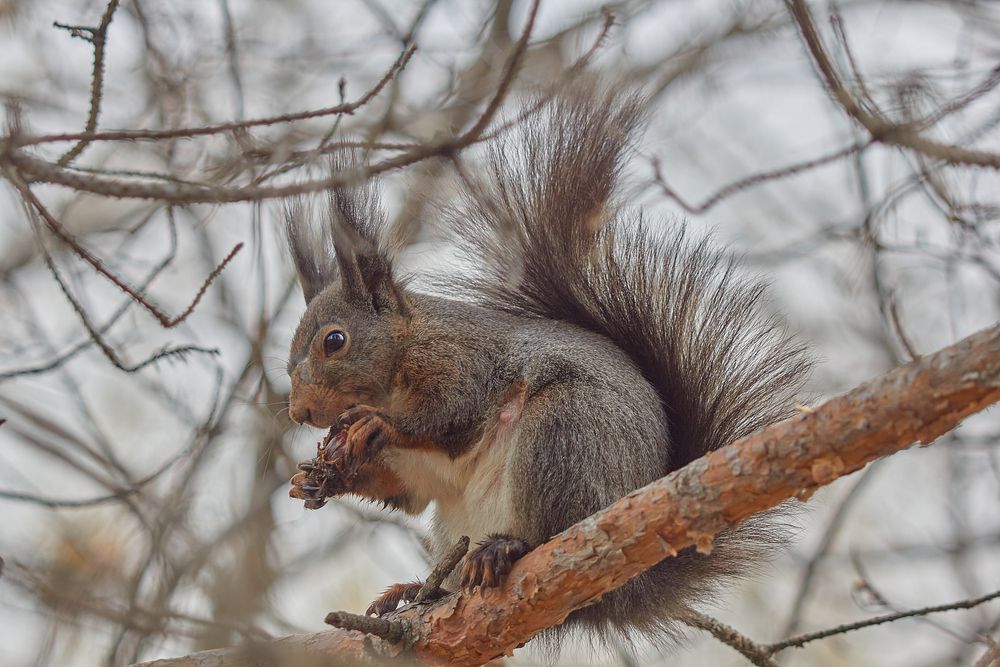Photograph by Наталия Мащенко