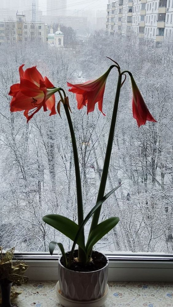 Photograph by Елена Прокофьева