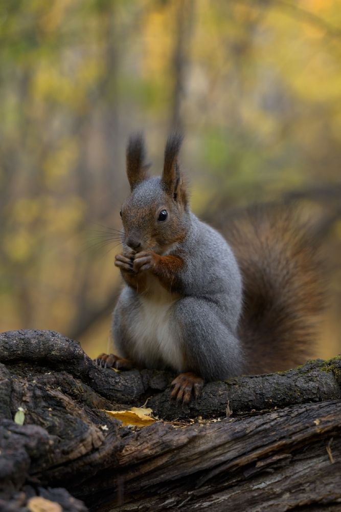 Photograph by Евгения Супрыгина
