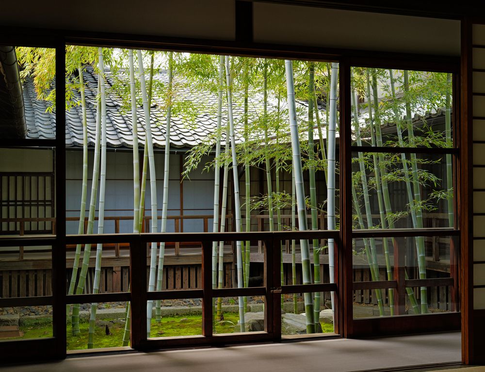 Stillness Beyond the Window