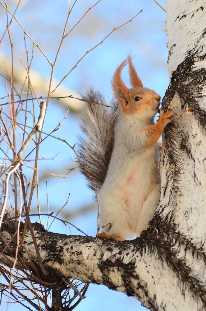 Photograph by Татьяна Корнишина