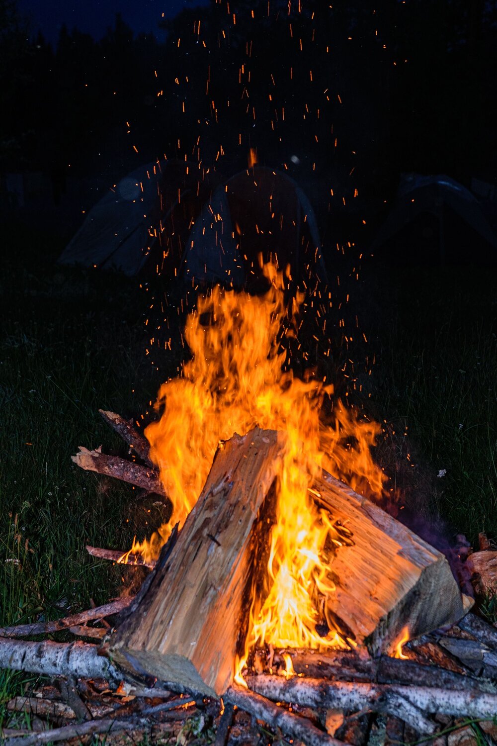 Photo #13531752