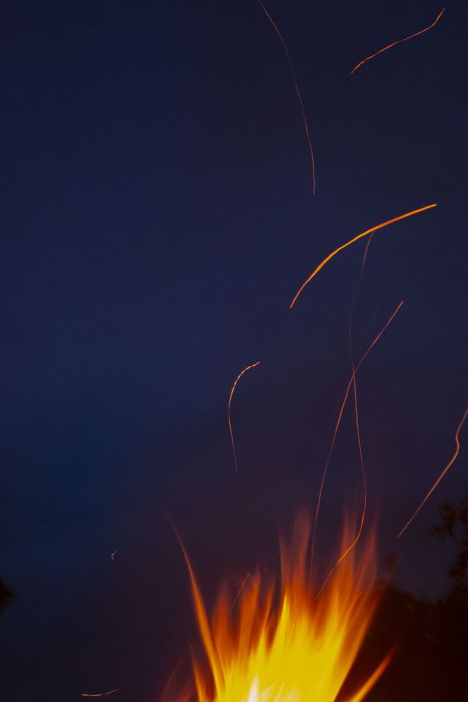 Photograph by Алиса Глыбоцкая
