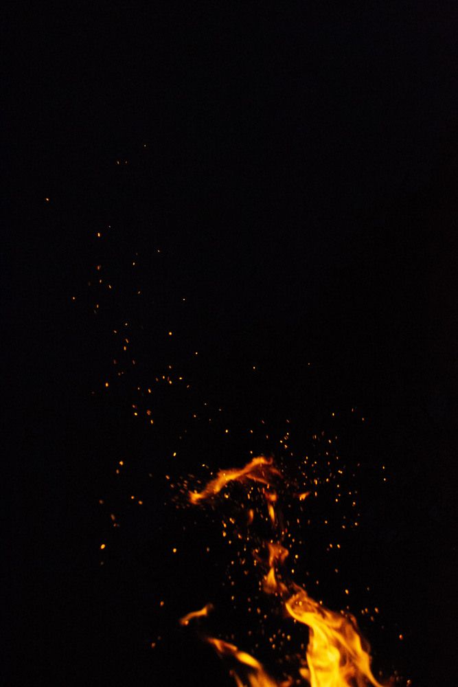 Photograph by Алиса Глыбоцкая