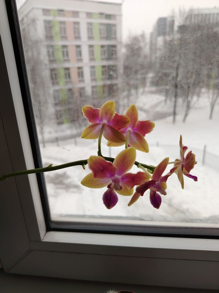 Photograph by Анастасия Туркина