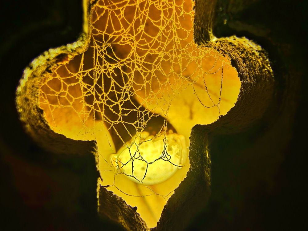 Photograph by Bilal Ahmad Khaki