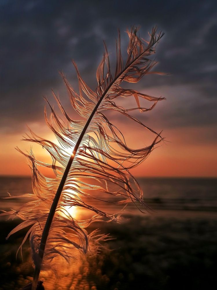 Photograph by Дина Калинина