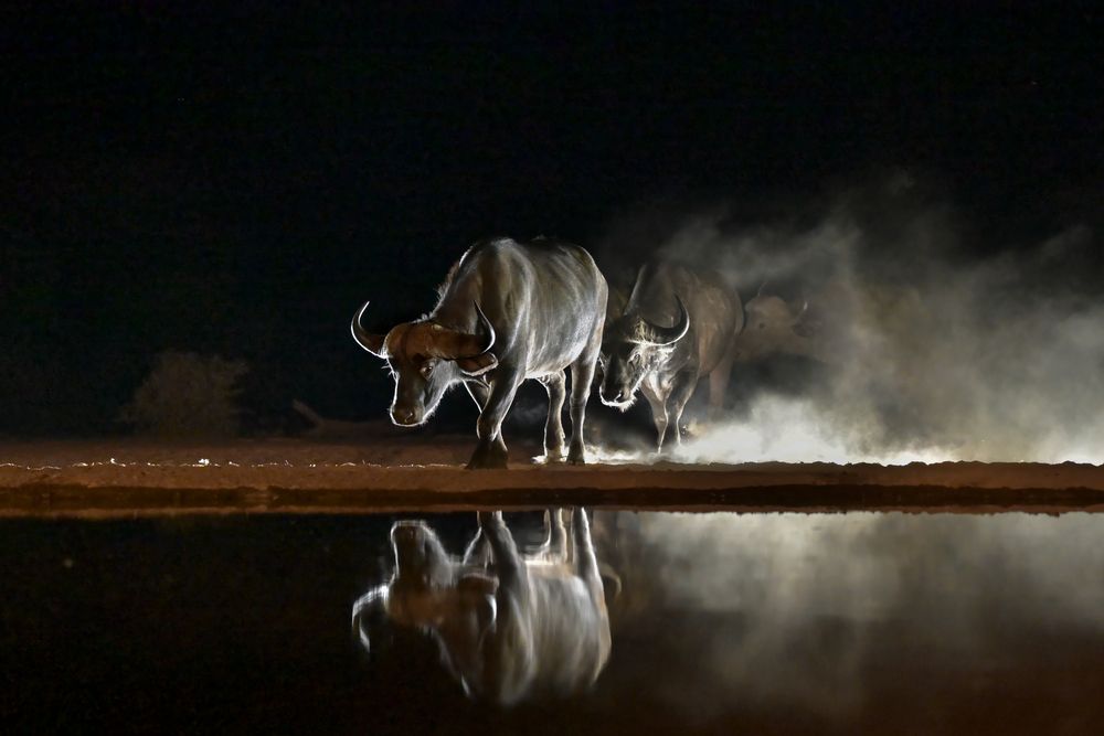 Photograph by Николай Мозгунов