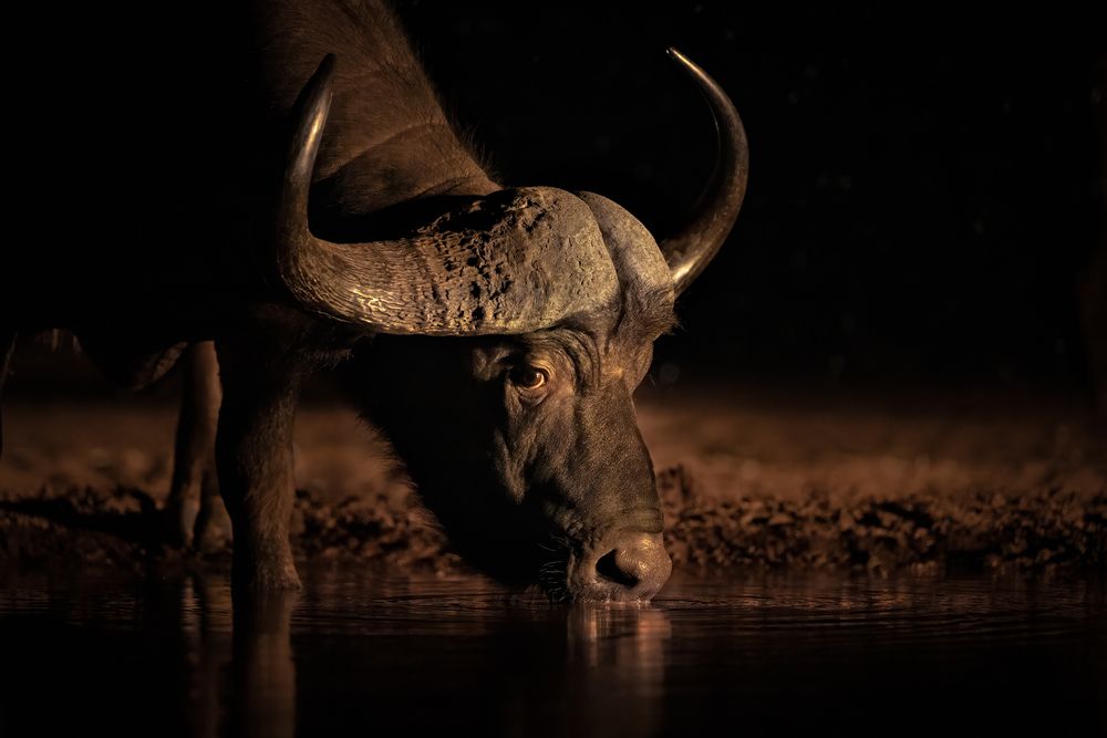 Photograph by Николай Мозгунов