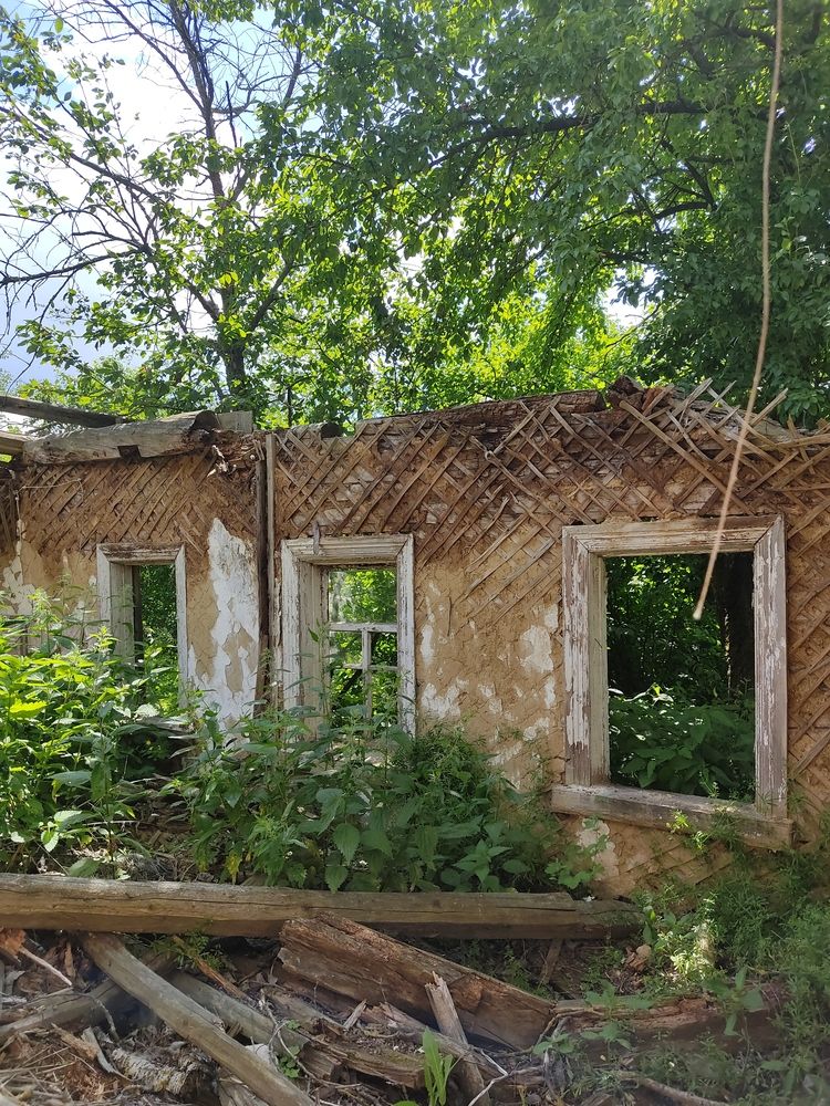 Фотография автора Наталья Елисеева