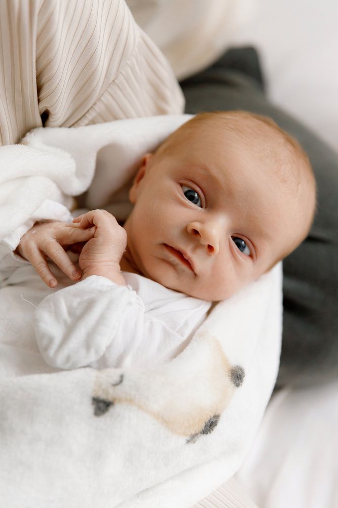 Photo #13532425