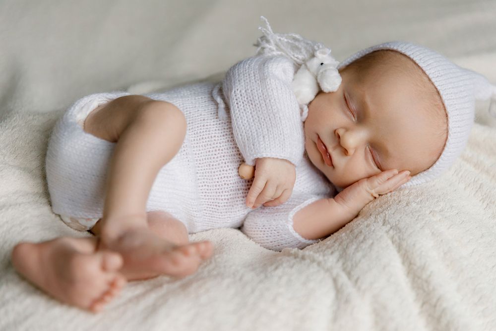 Photo #13532426