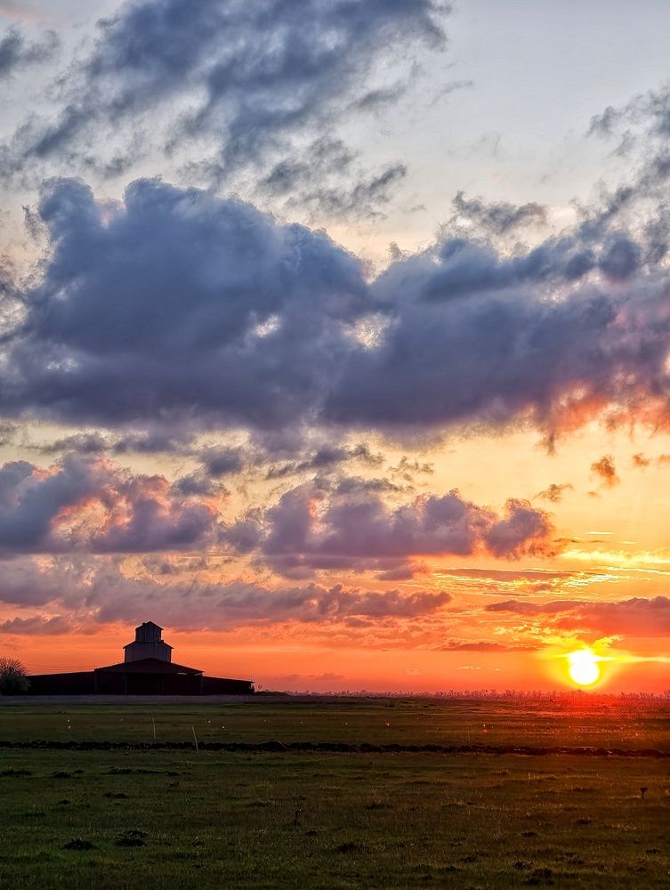 Photograph by Елена Артёменко