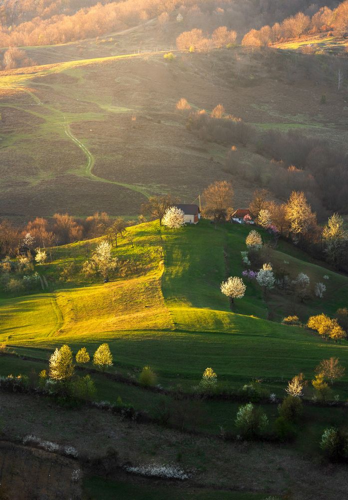 Photograph by Ioana Crisan