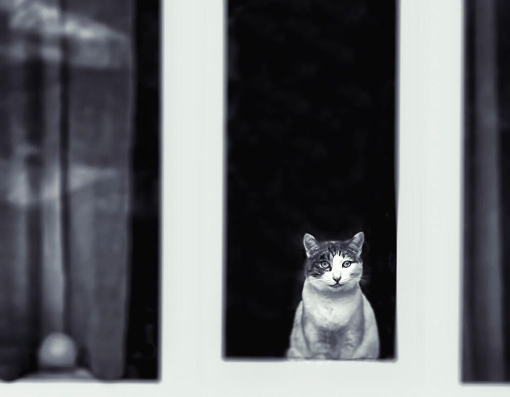 Photograph by Ирина Пинчук
