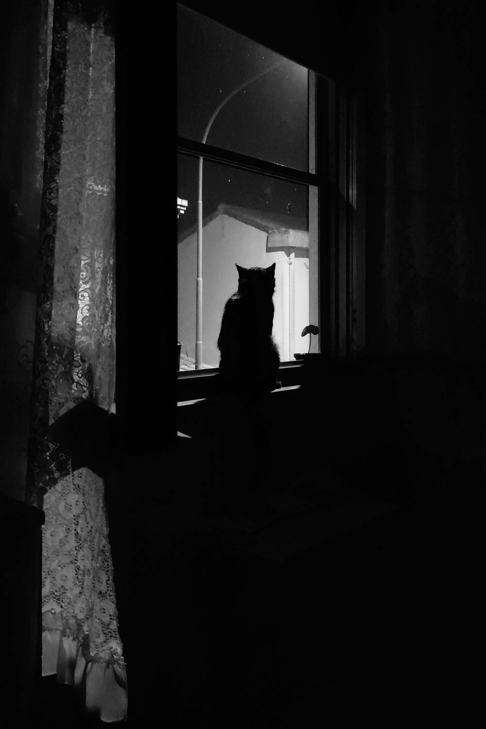 Photo #13532518