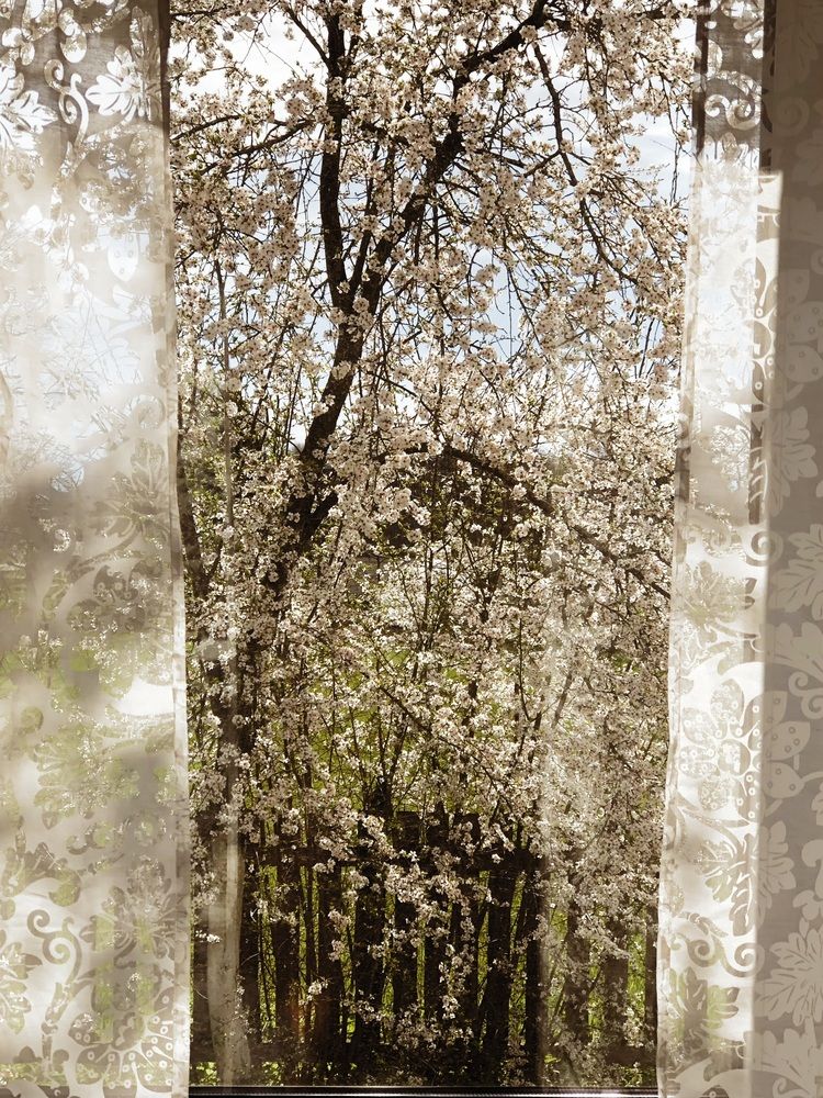 Photograph by Светлана Долганова
