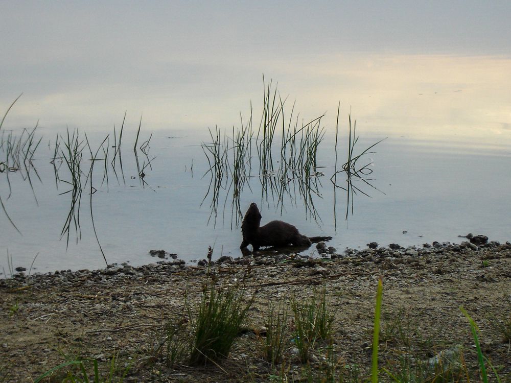 Photograph by Наталья Веселкина