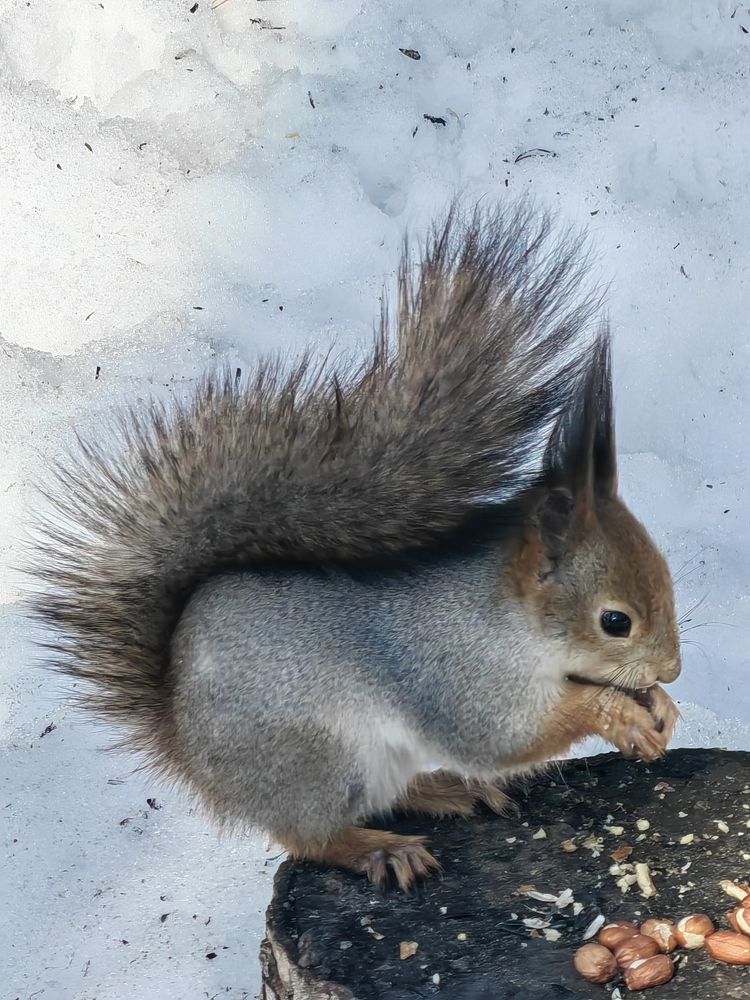 Photograph by Чкареули Светлана