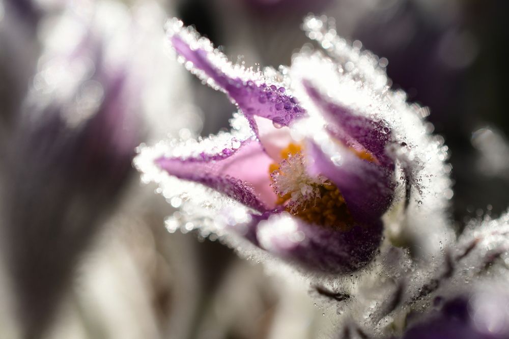 Photograph by Алексей Volg