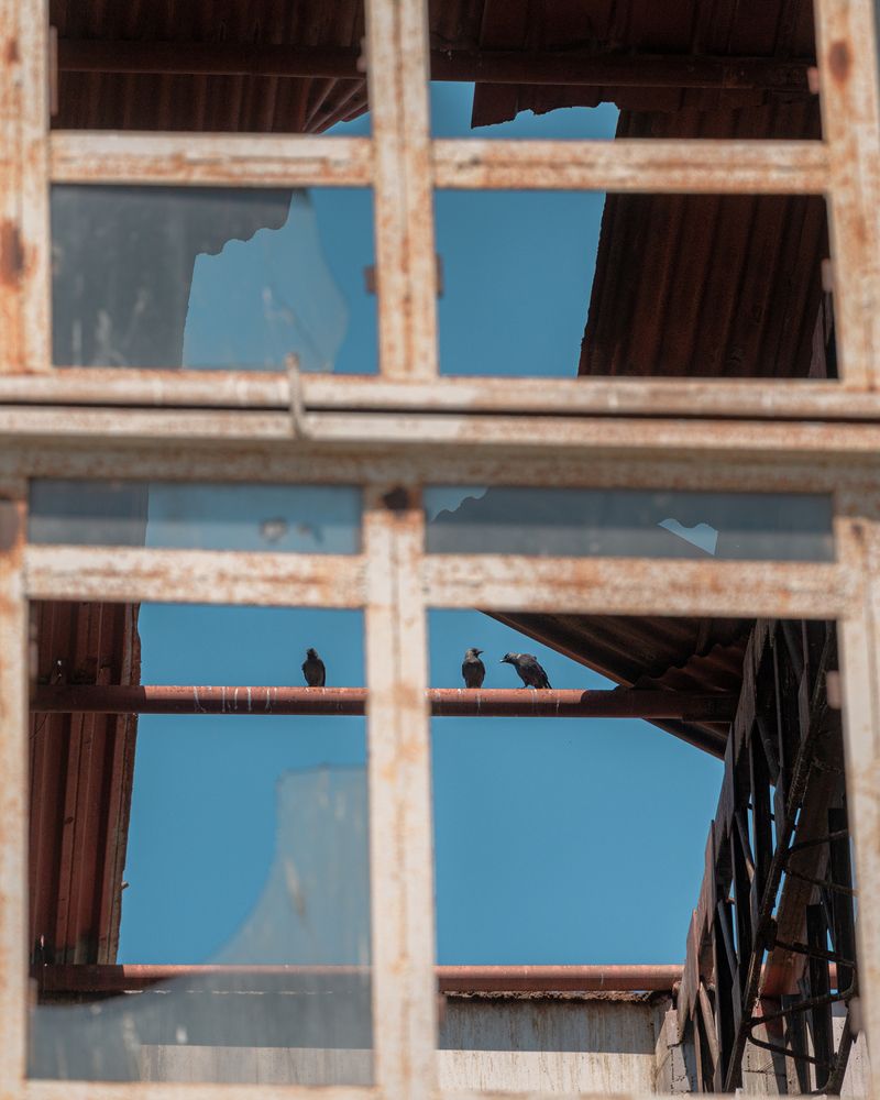 Photograph by Bogdan Kalashnikov