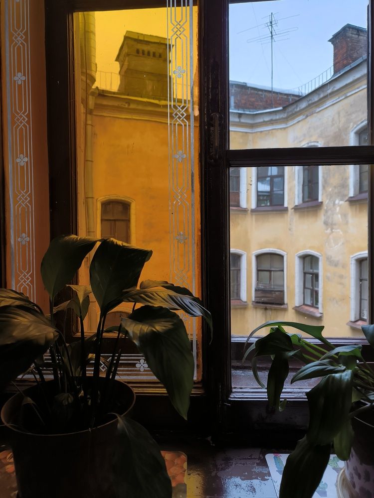 Photograph by Ольга Стоун