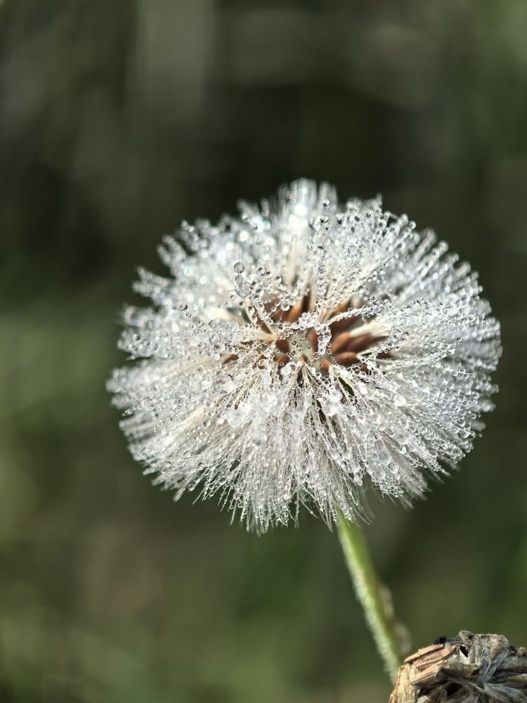 Photograph by Елена Шляхова