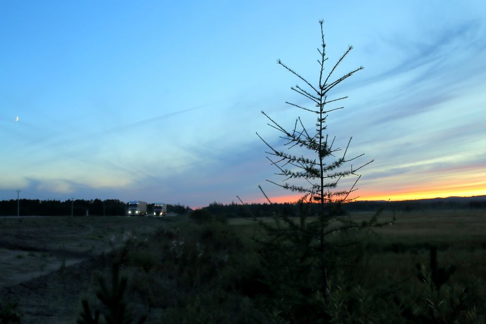 Photo #13532990