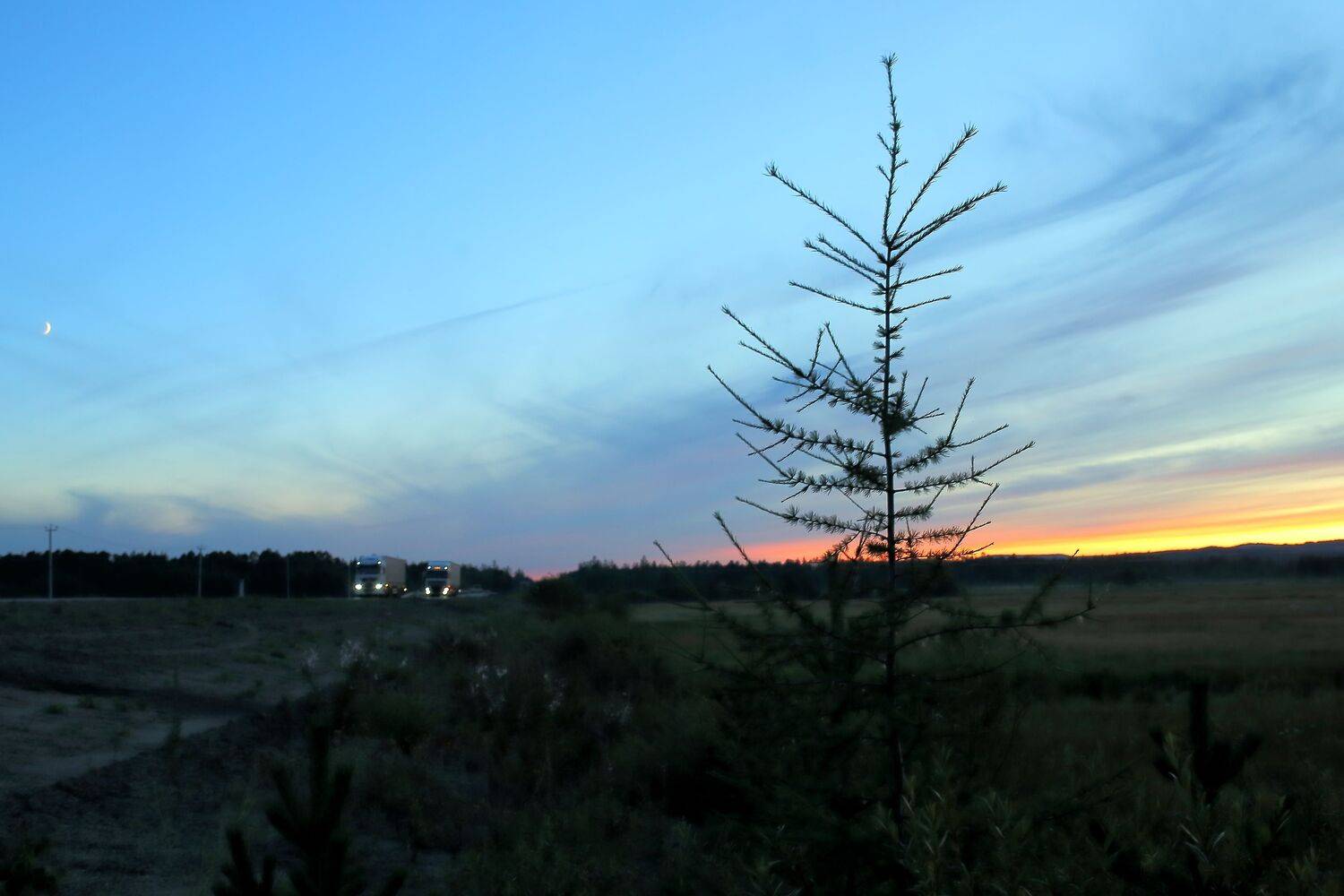 Photo #13532990