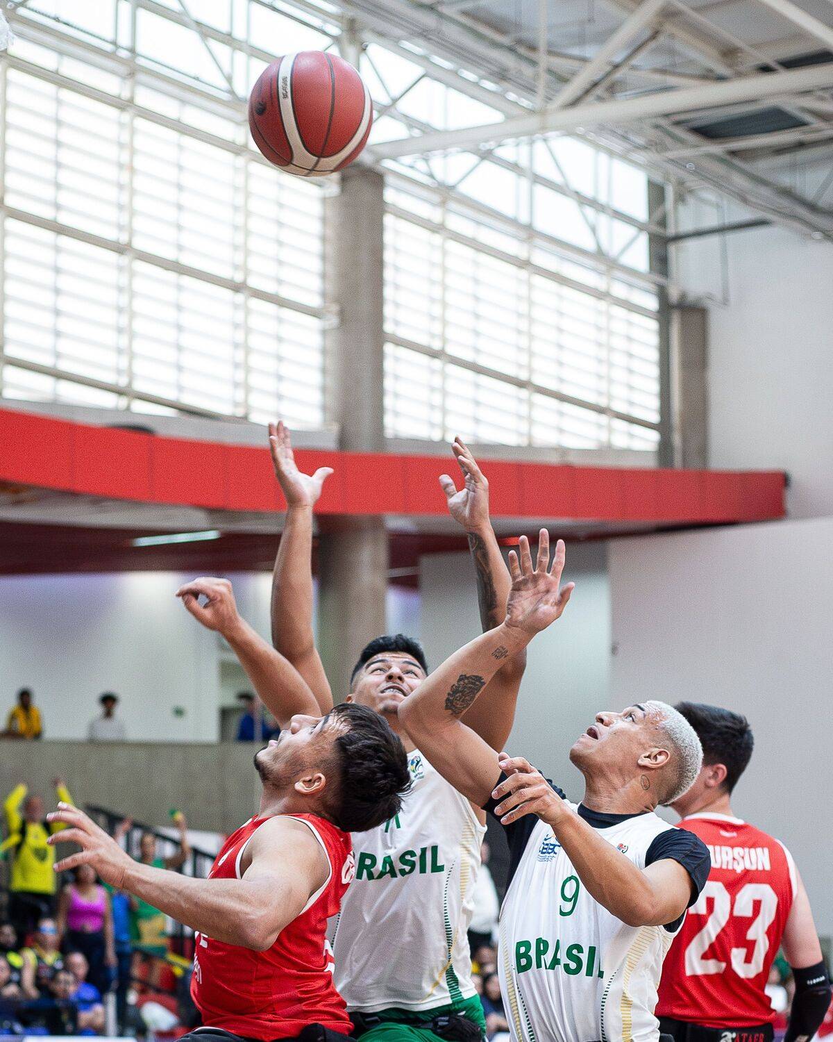 Photo #13533069