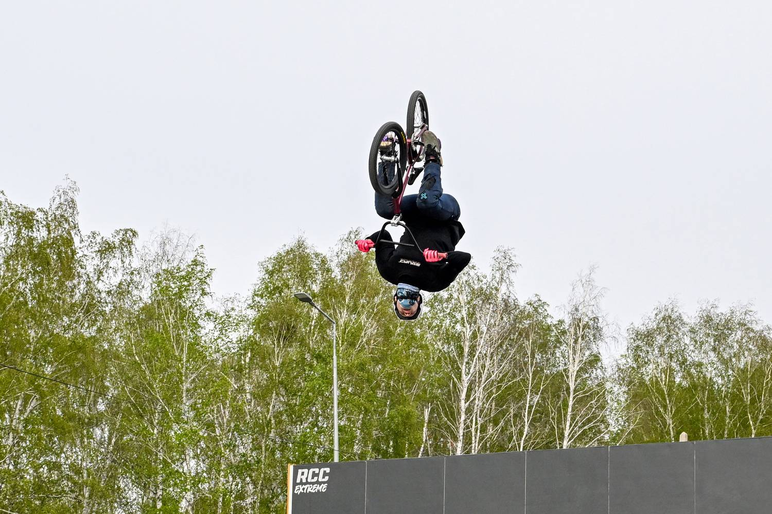 Photo #13533086