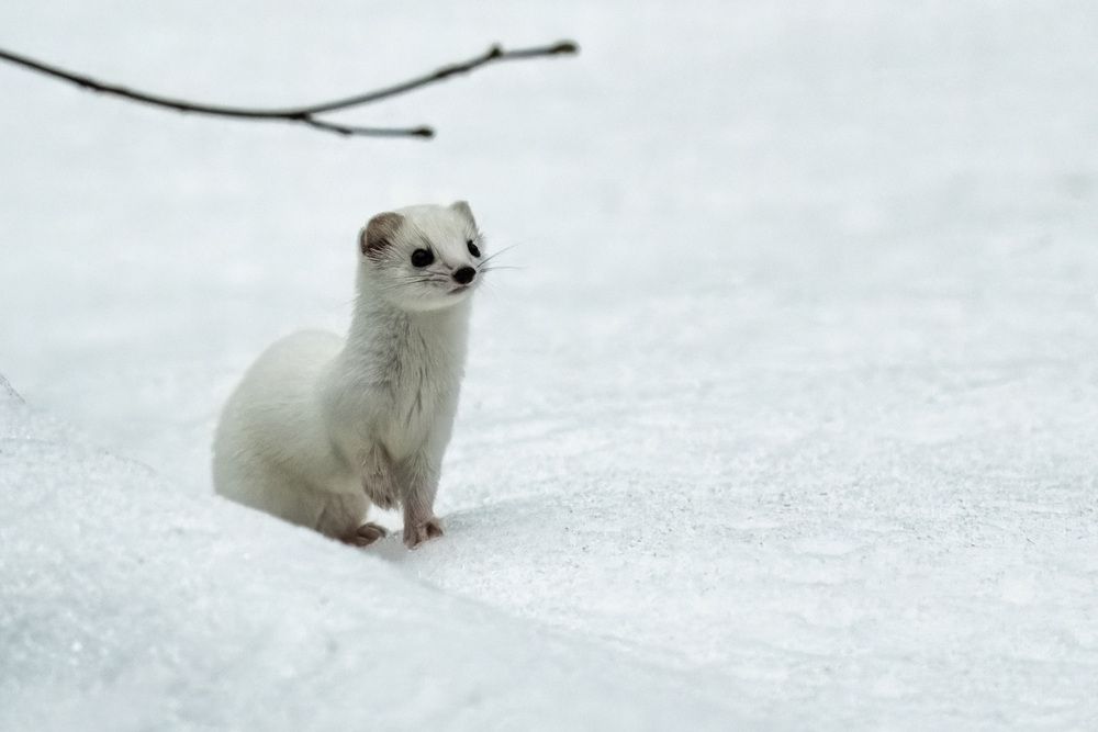 Photograph by Вадим Андреев