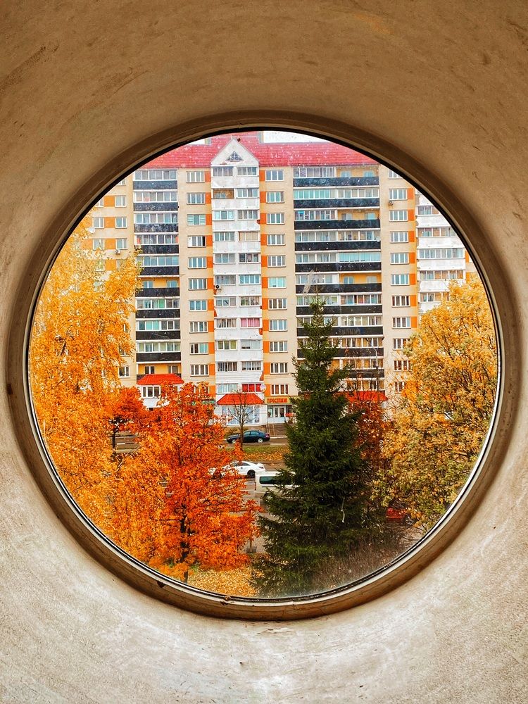Photograph by Светлана Долганова