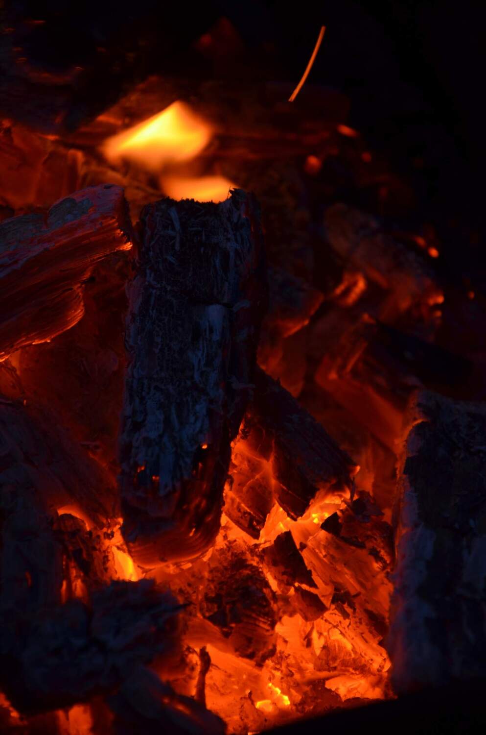 Photo #13533202