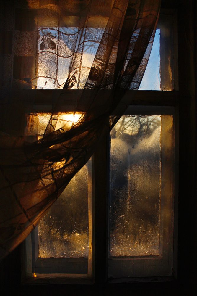 Photograph by Светлана Шубина