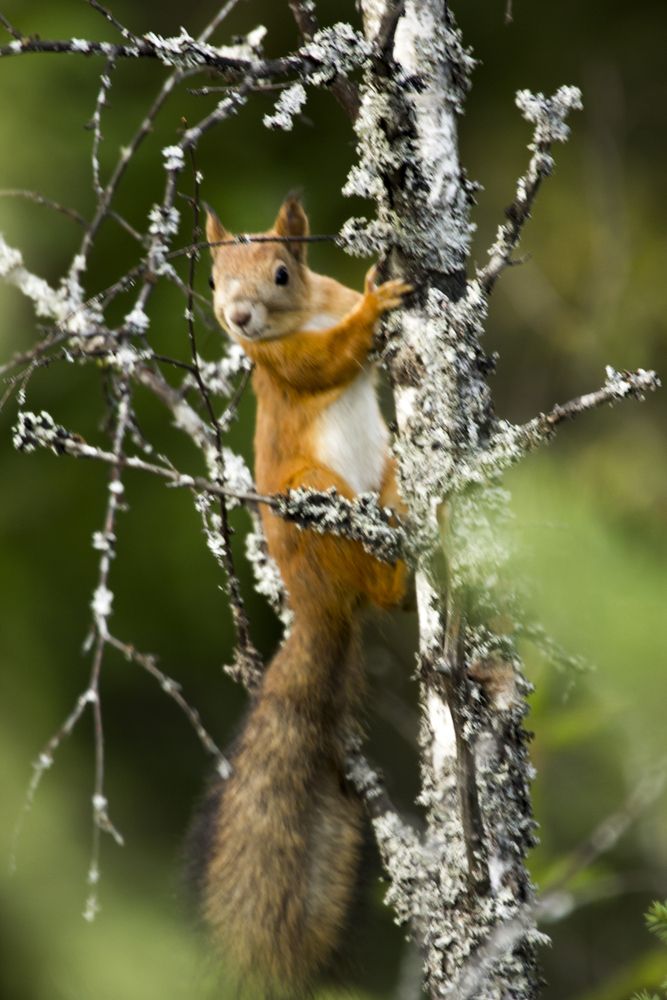 Photograph by Александр Собокарь