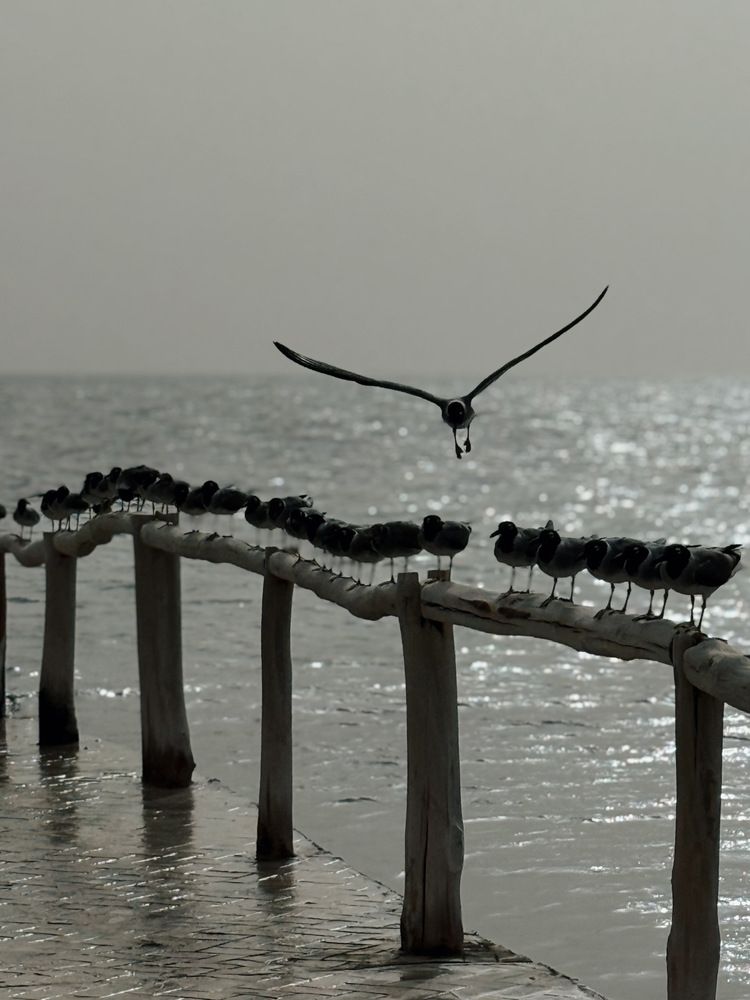Photograph by Ольга Князева