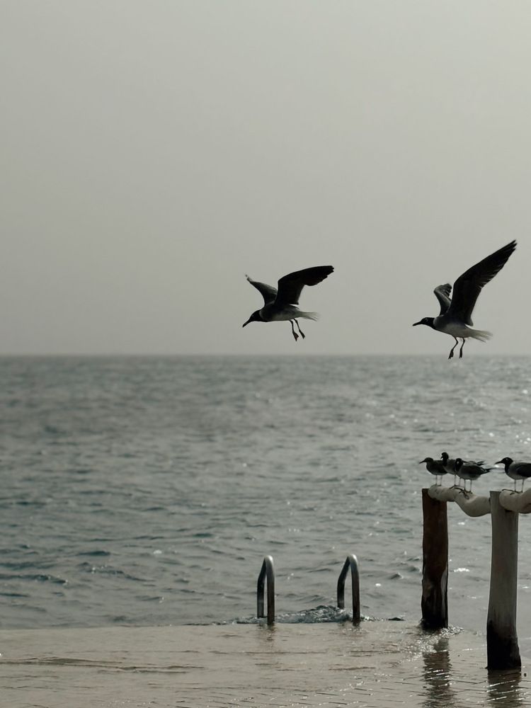 Photograph by Ольга Князева