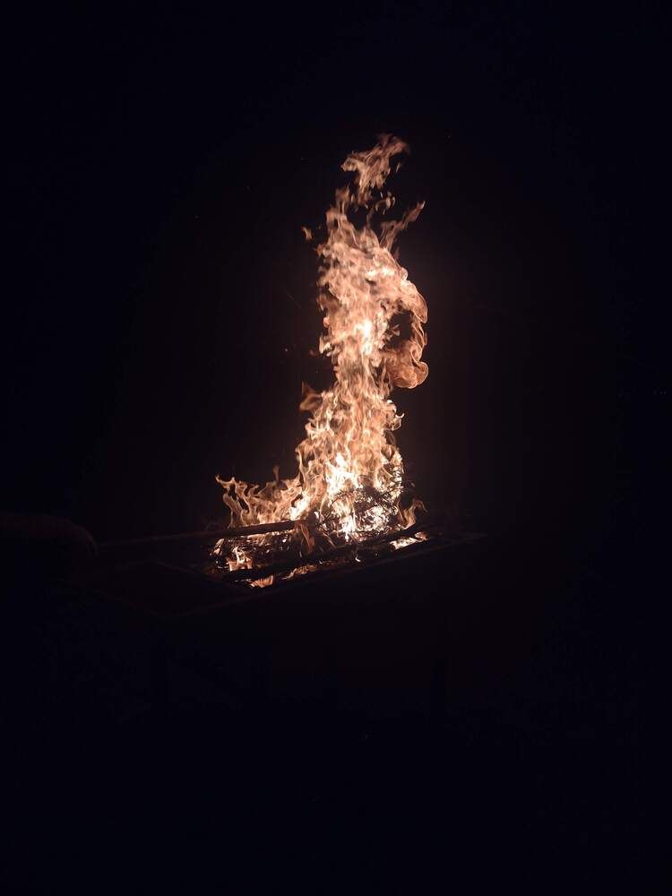 Photo #13533461