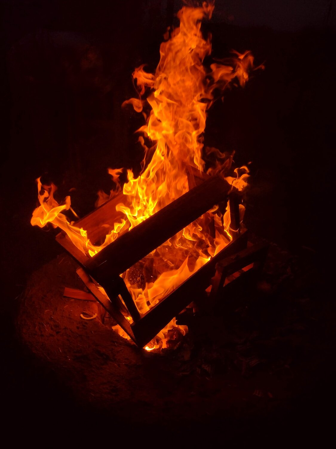 Photo #13533462