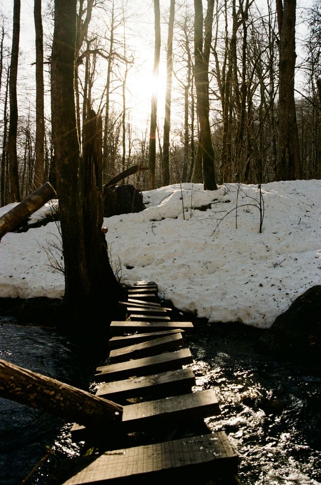 Photograph by Виктор Личутин