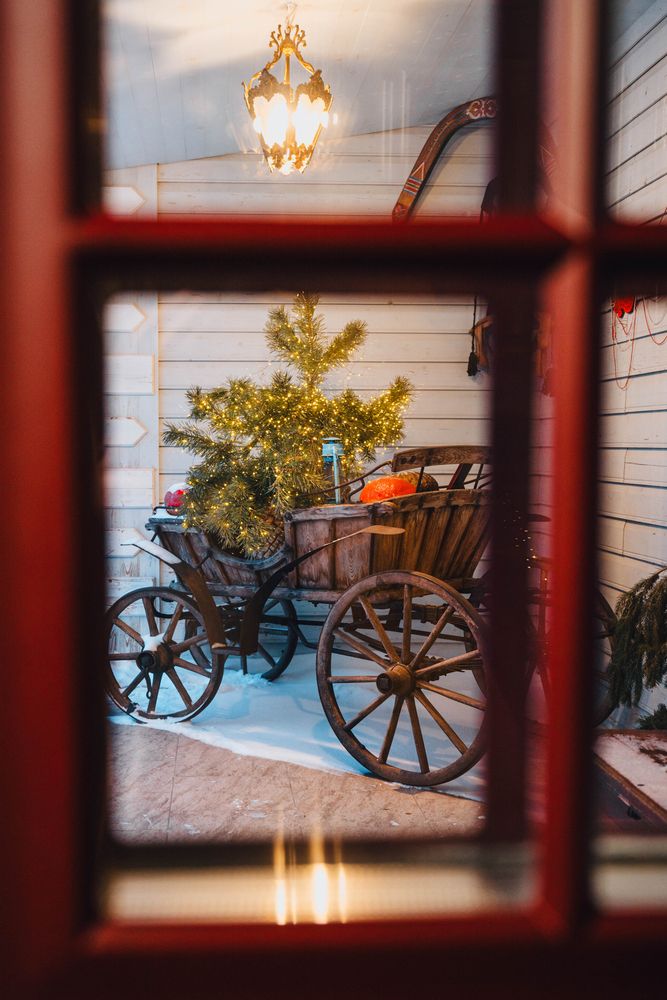 Photograph by Елена Савенкова
