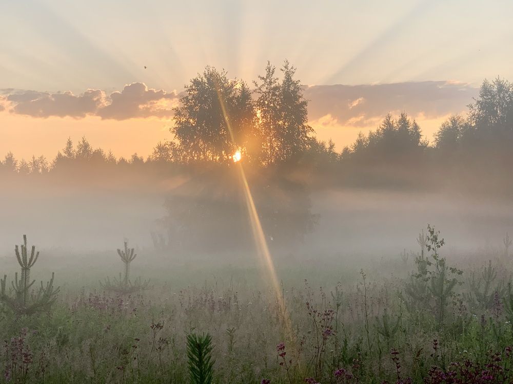 Photograph by Ионова Татьяна