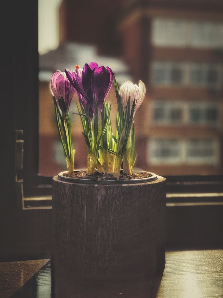 Photograph by Юлия Чернышёва