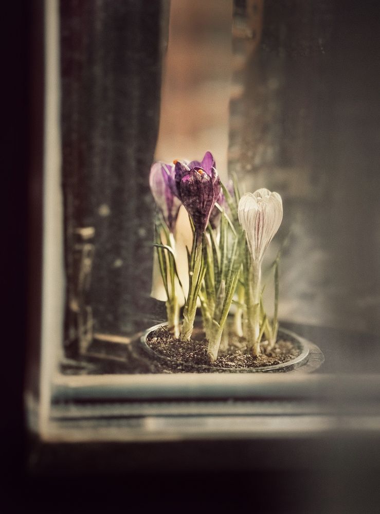 Photograph by Юлия Чернышёва
