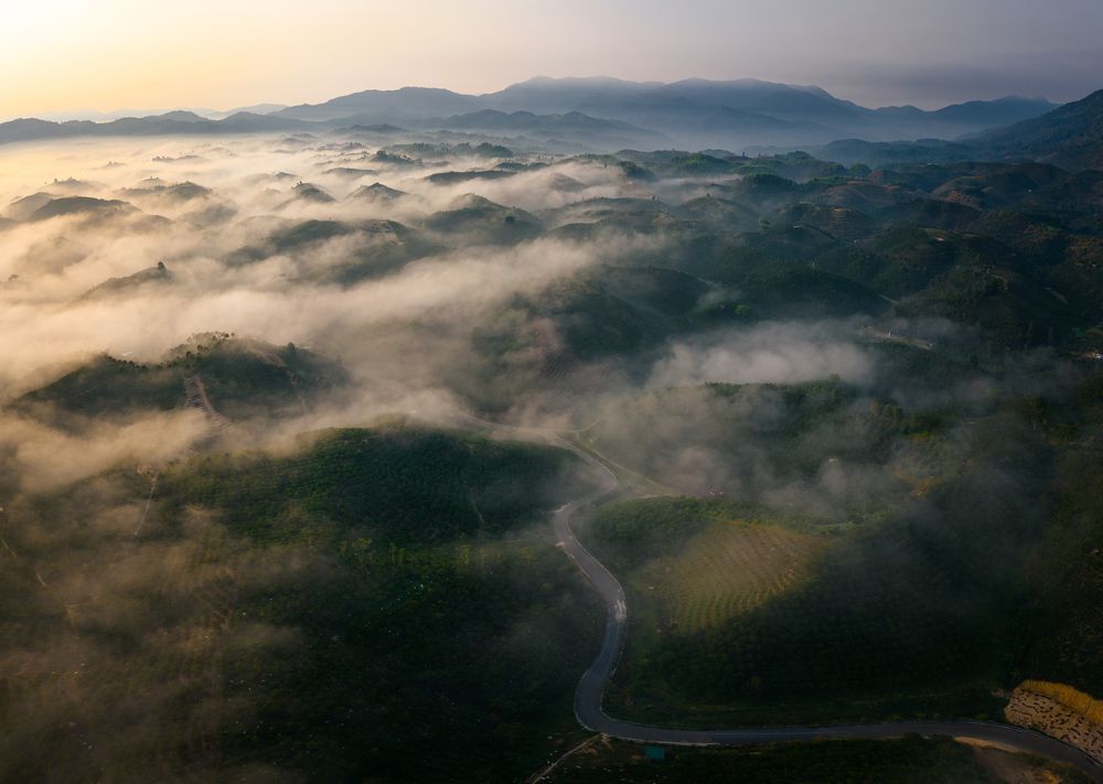 Photograph by HIEU DAT NGUYEN