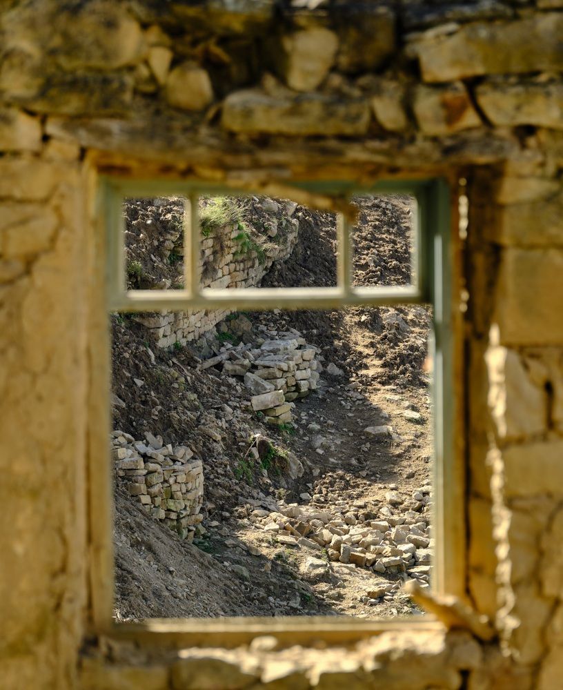 Photograph by Василий Арлашов