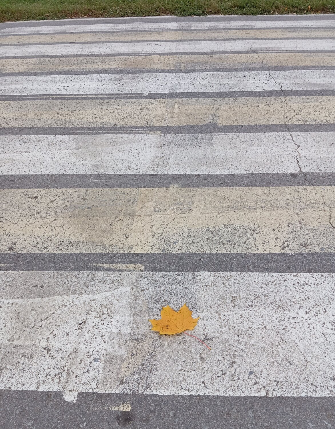 Photo #13533846