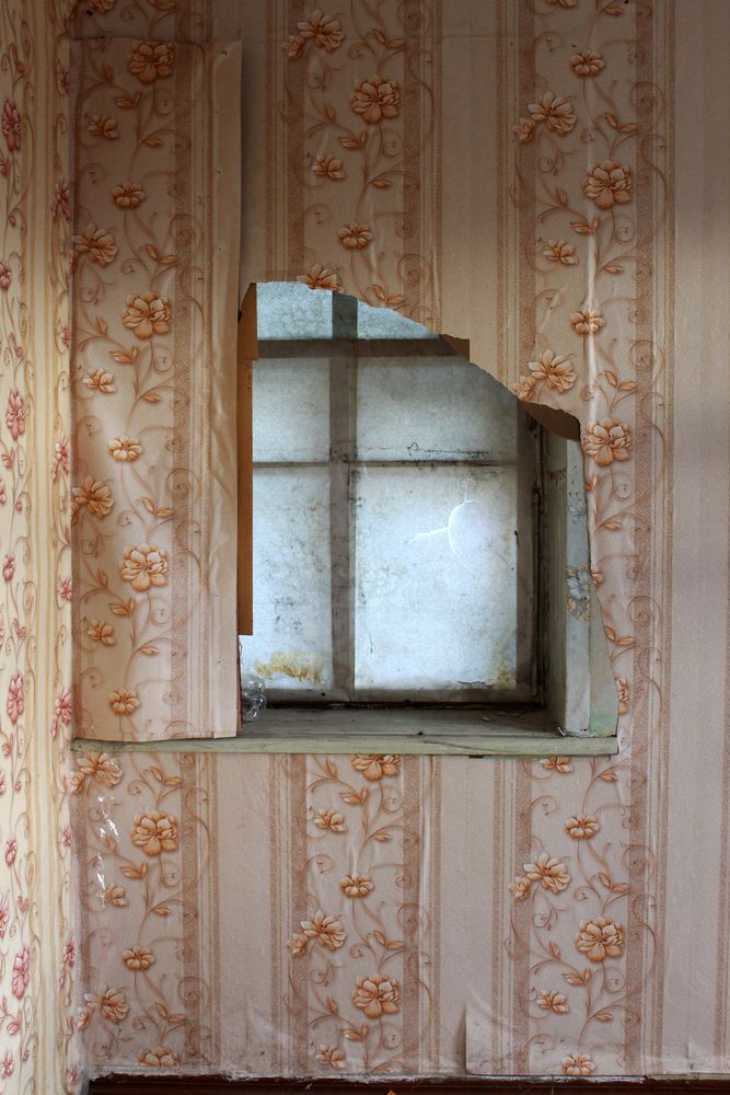 Photograph by Светлана Шубина