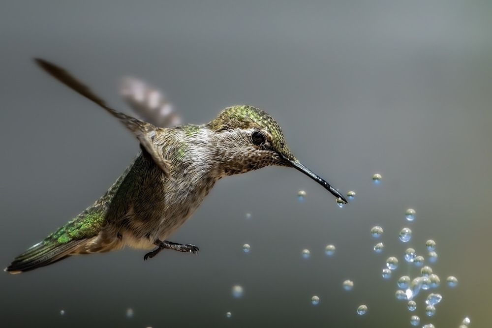 Photograph by Rebecca Hall